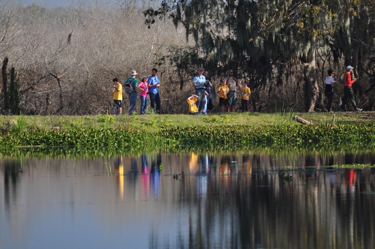 Brazos Bend State Park